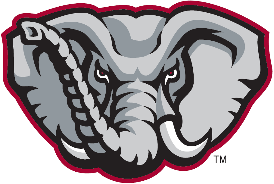 Alabama Crimson Tide 2001-Pres Alternate Logo v8 diy iron on heat transfer